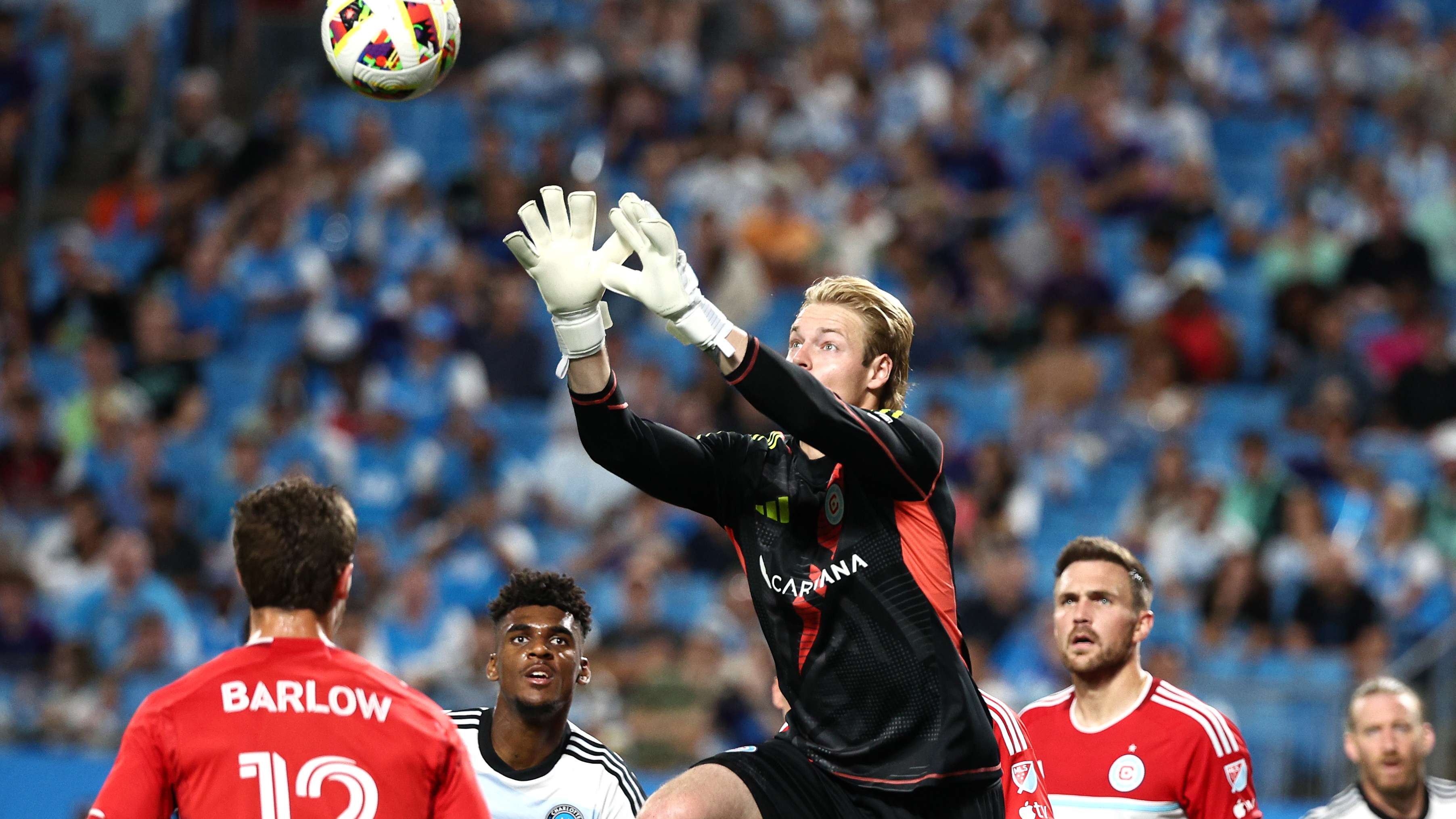 择回到北京 择回到北京